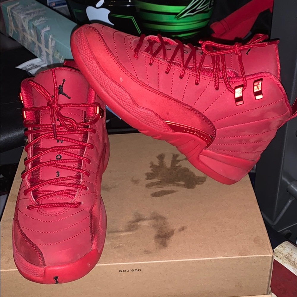 Jordan 12,s (raging bull)